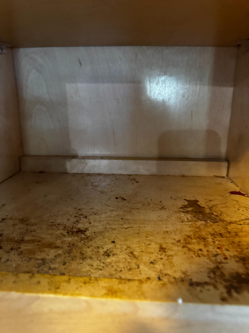 Kitchen Cabinet BEFORE